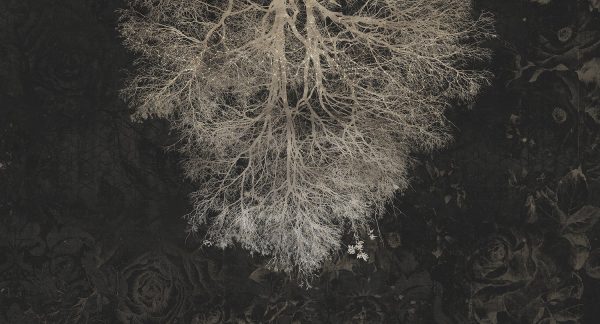 טפט פרימיום אומנותי- מעצבי על -ענפי עץ הפוך על רקע פרחים עדינים